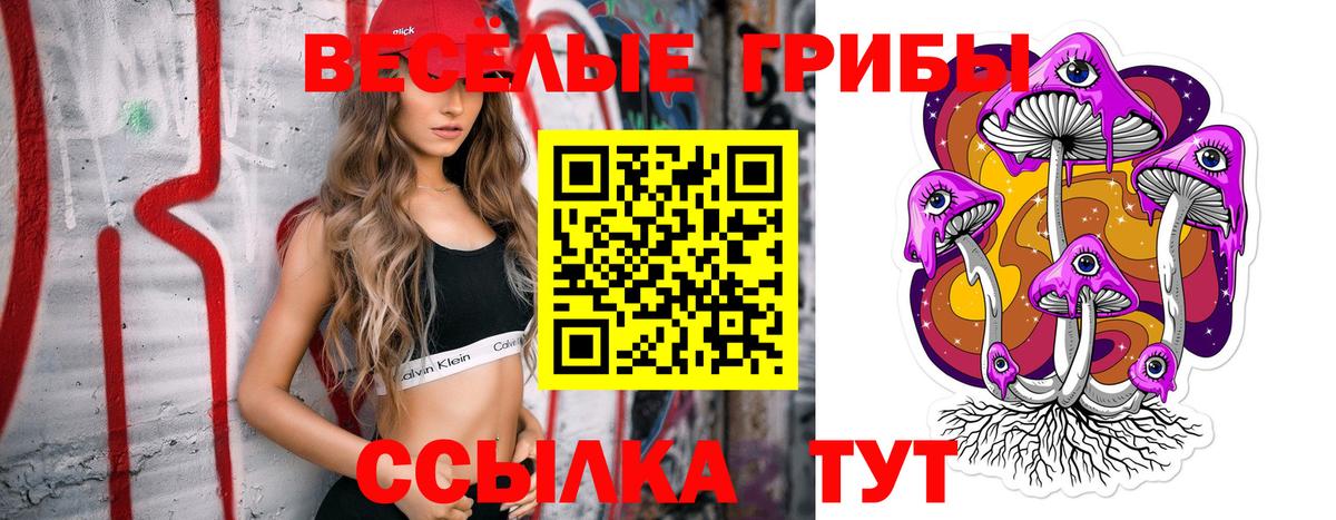 Ивантеевка  Галлюциногенные грибы прущие грибы  Галлюциногенные грибы Cubensis  Вход с VPN 